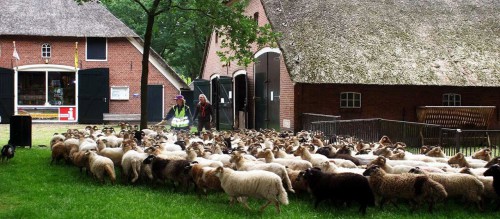 Schaapskooi Exloo