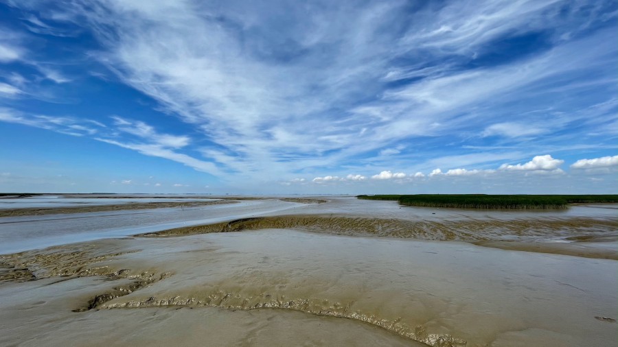 3-daagse UNESCO-Waddenexpeditie- Dollard en Graanrepubliek
