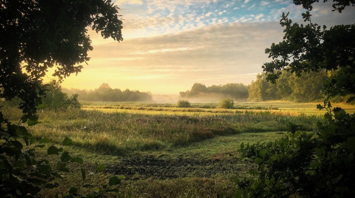 4-daagse UNESCO-reis Drenthe