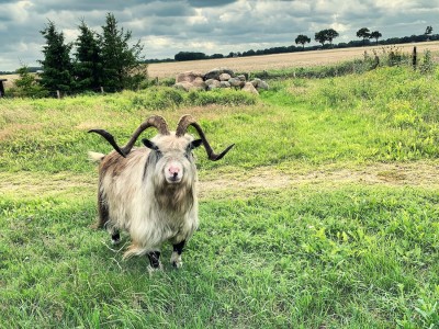 Veenhuizen; slotstuk van route 'Achtertuin van Groningen'