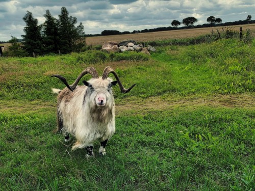 Autopuzzeltocht 'Achtertuin van Groningen'