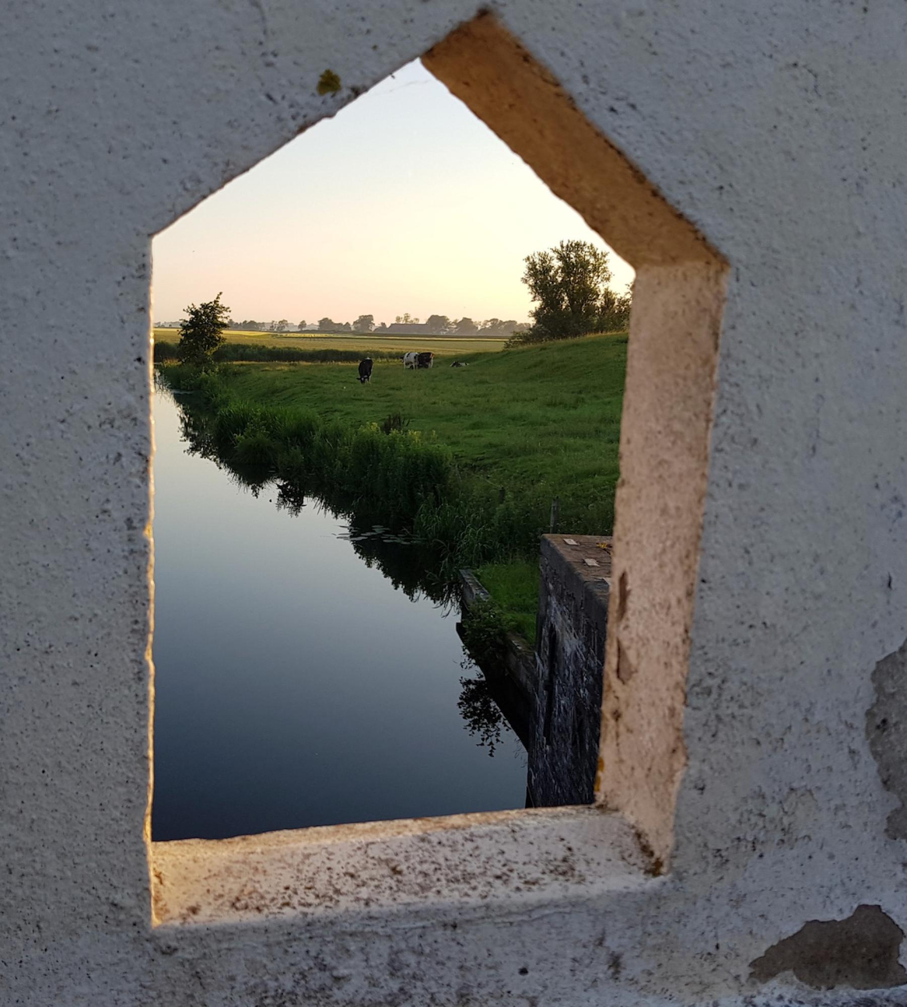 Localgroningen image