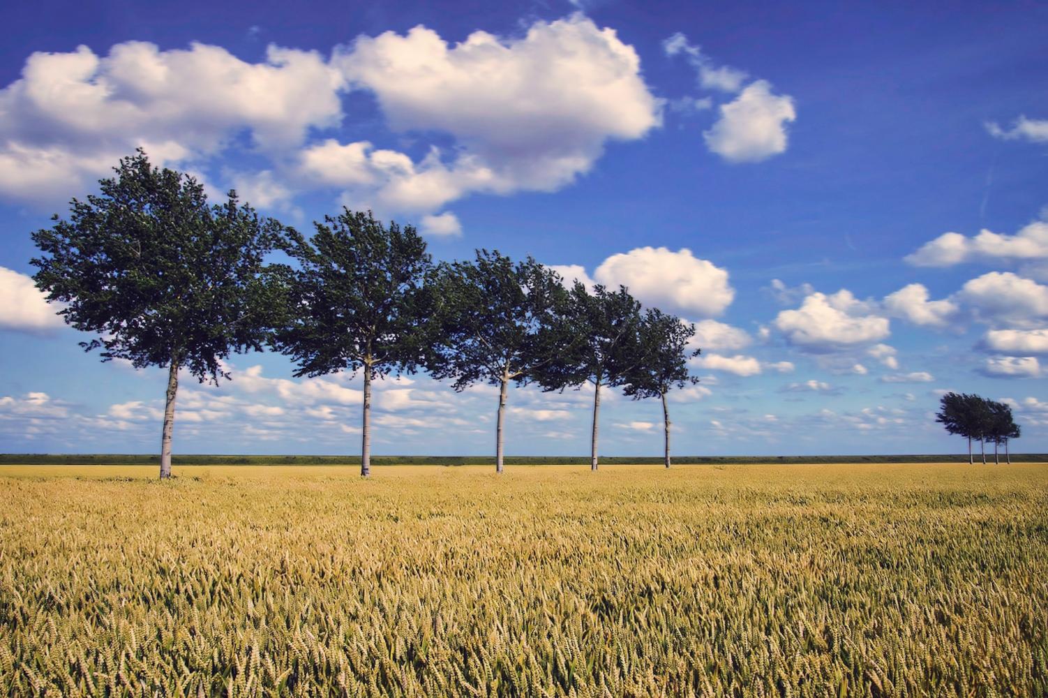 Kies jouw favoriete beleving Groningen