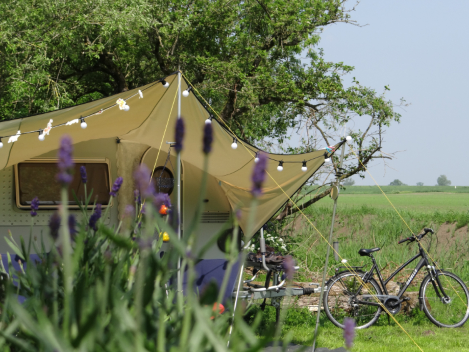 Mini Camping B&B Kostverloren 11