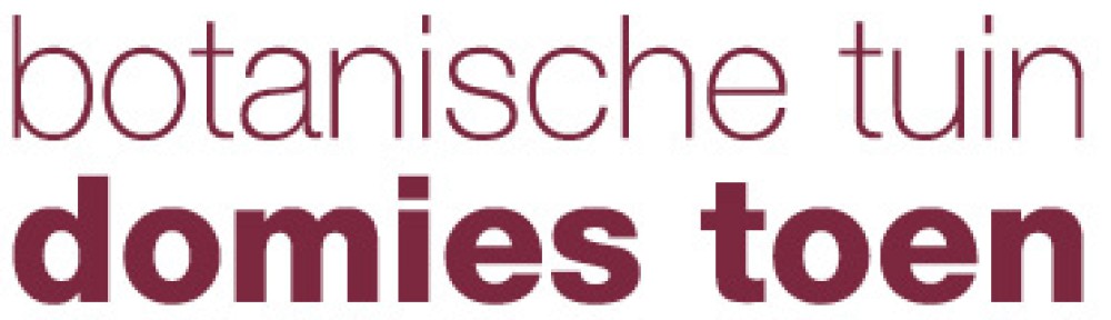 Botanische tuin en theeschenkerij Domies Toen