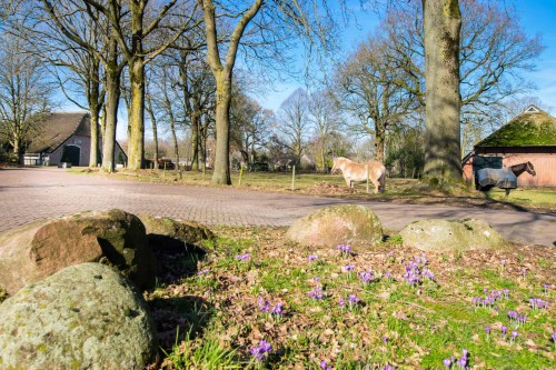 Centrum OudValthe, Valthe