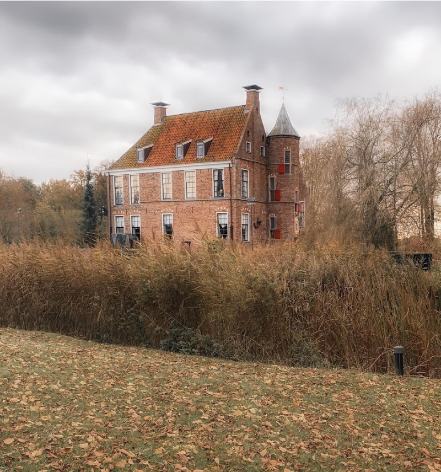 Localgroningen image