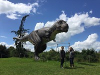 Landgoed Tenaxx  familiepark