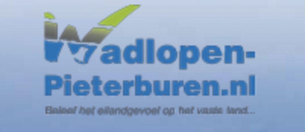 Wadlopen Pieterburen