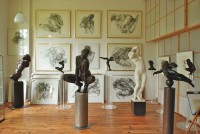 Museum & Gallerie Eddy Roos