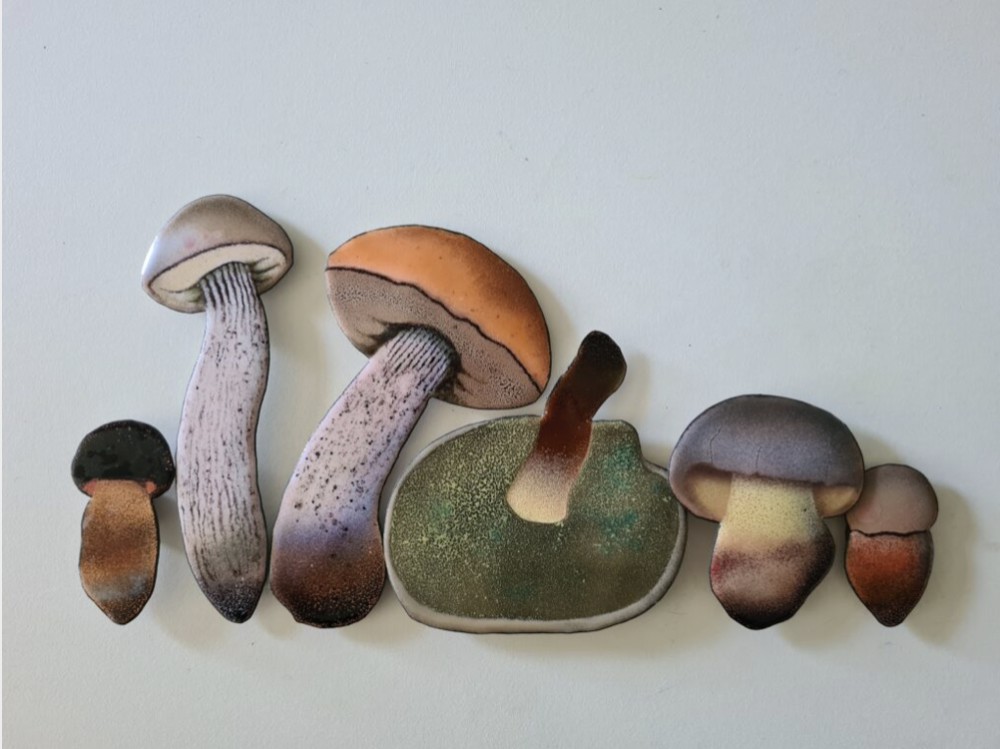 #Regionale kunst en planten van ver