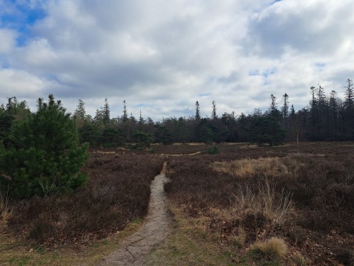 Pingoruïne/Gletsjerkuil Buinerveld