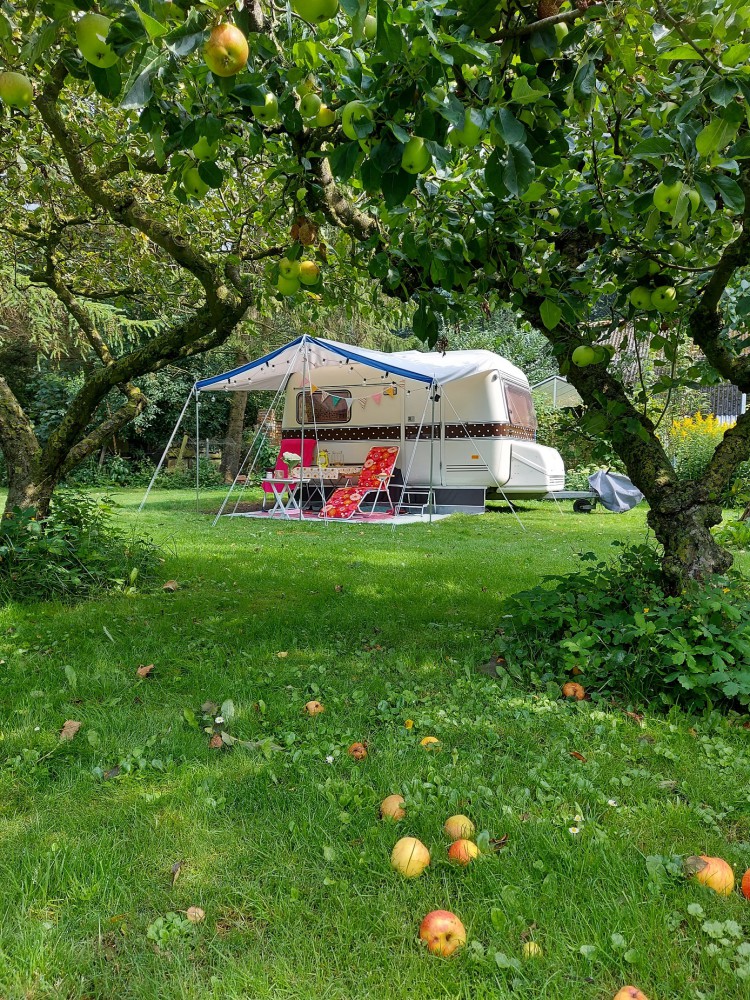 Natuurkamperen Wildemansheerd