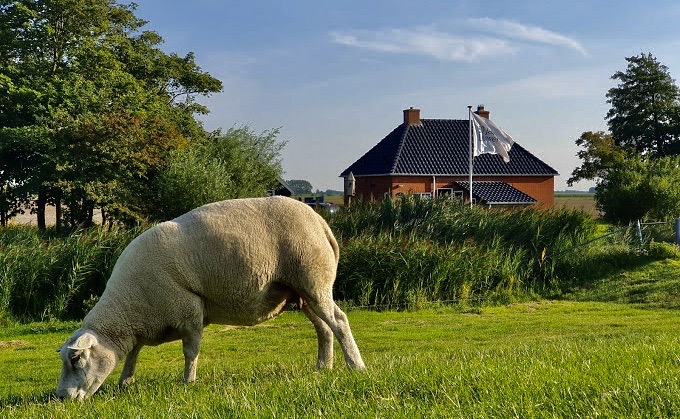 Natuurhuis Waddenhorn