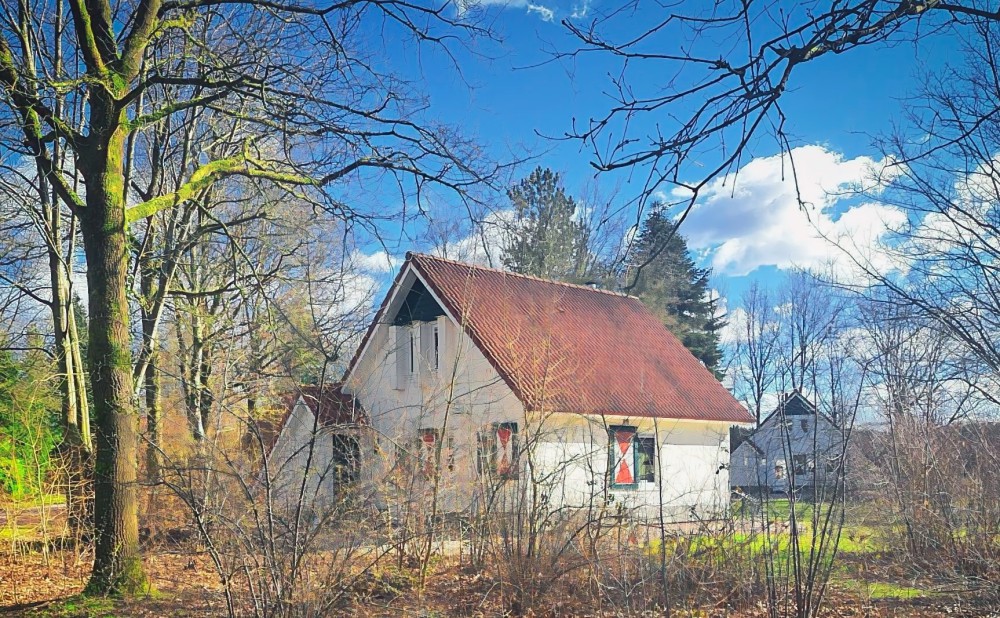 De lente komt er aan