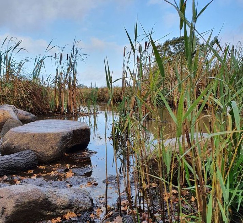 Muziek, gedichten en theater in Westerwolde