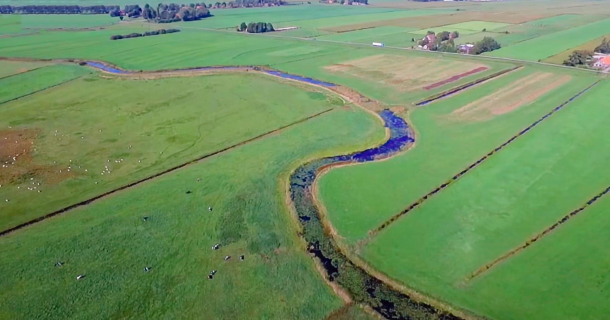 Ontdek het fraaie veenlandschap van Friesland, omringd door bossen en heide