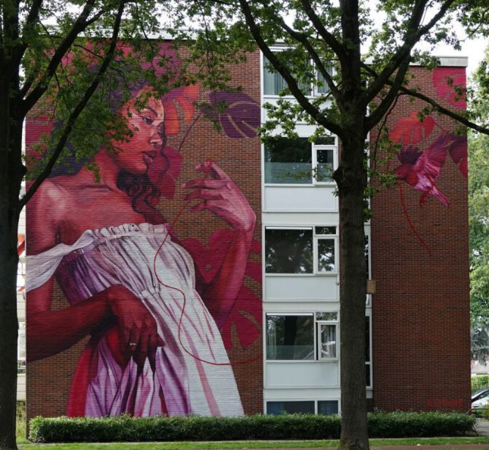 Een aantal reacties van rijders