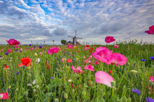 Autopuzzeltocht Midden-Groningen