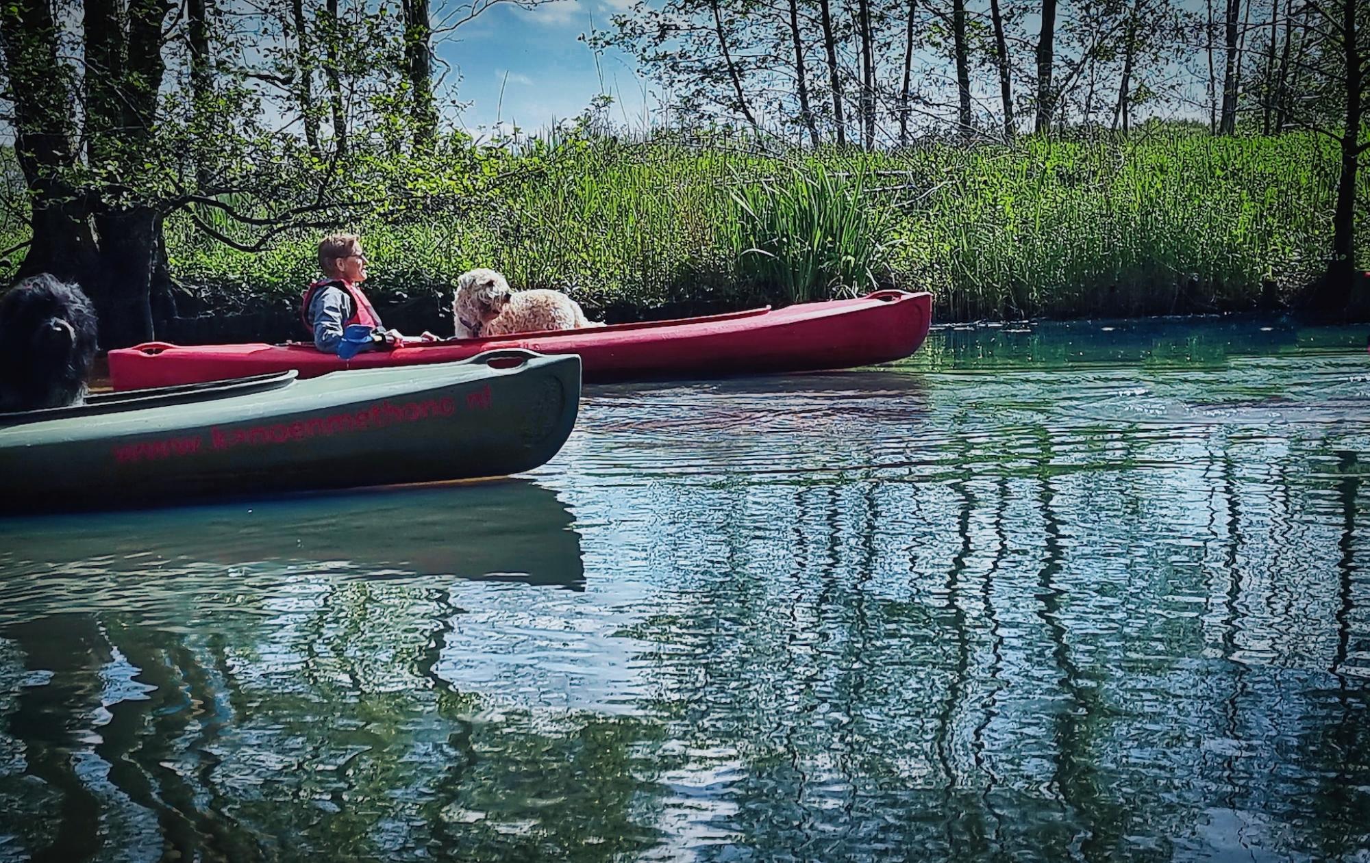 Dazzlindinky  Kanoën met hond