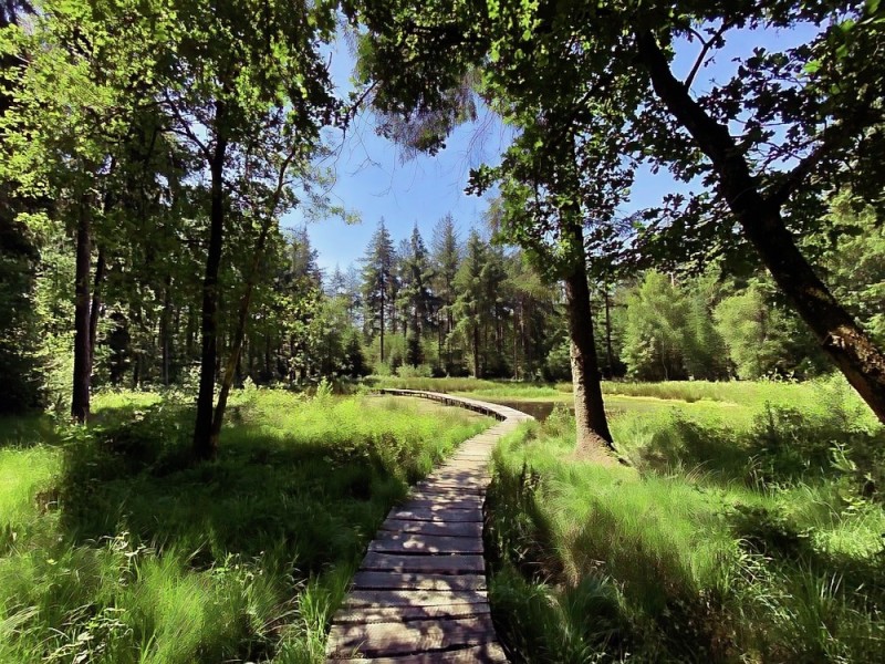 Dagarrangement  't Andere Friesland in ZO-Friesland