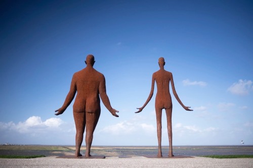 Autopuzzeltocht NO-Friesland 'Wad en Land'