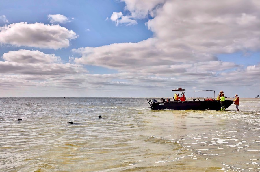 4-daags Avontuur: ontdek Groningen: ter Land, ter Zee en in de Lucht