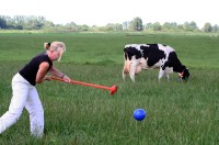 Boerengolf Zuiderham