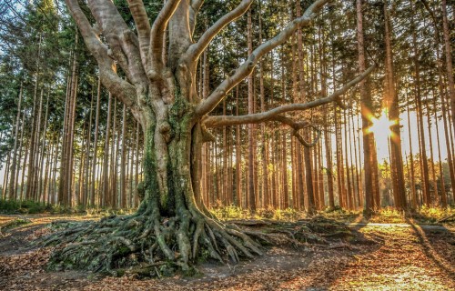 Autopuzzeltocht in ZO-Friesland ''t Andere Friesland'