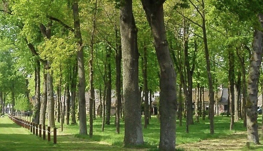 Dagarrangement: Van de Groningse Onlanden naar de Koloniën van Weldadigheid in Veenhuizen