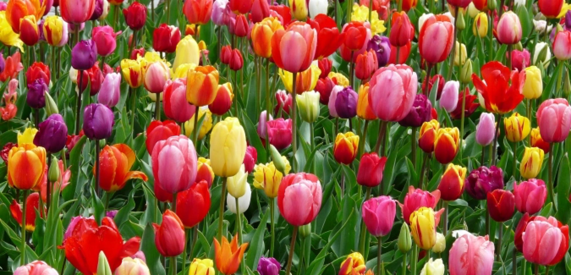 Hotel Waddenweelde Pieterburen