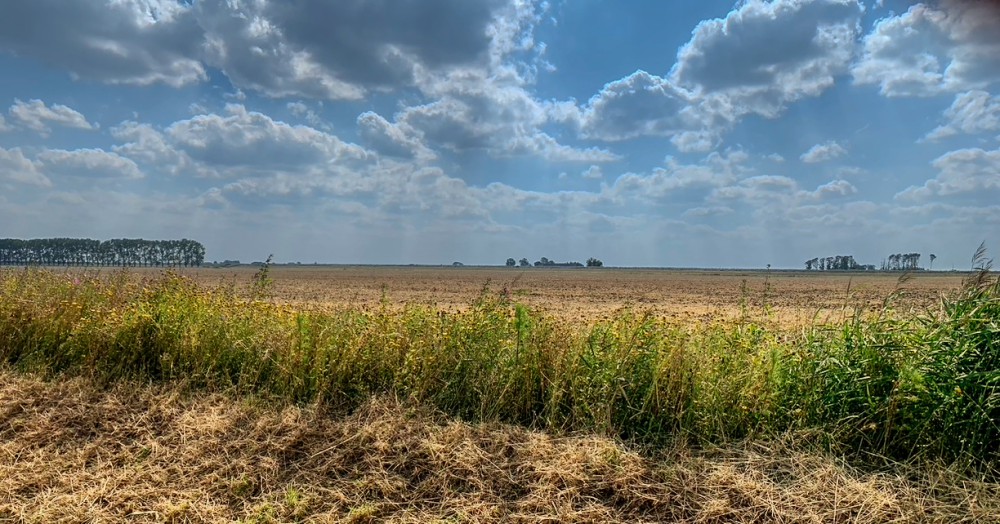 Waddenzee - Dollard - Graanrepubliek