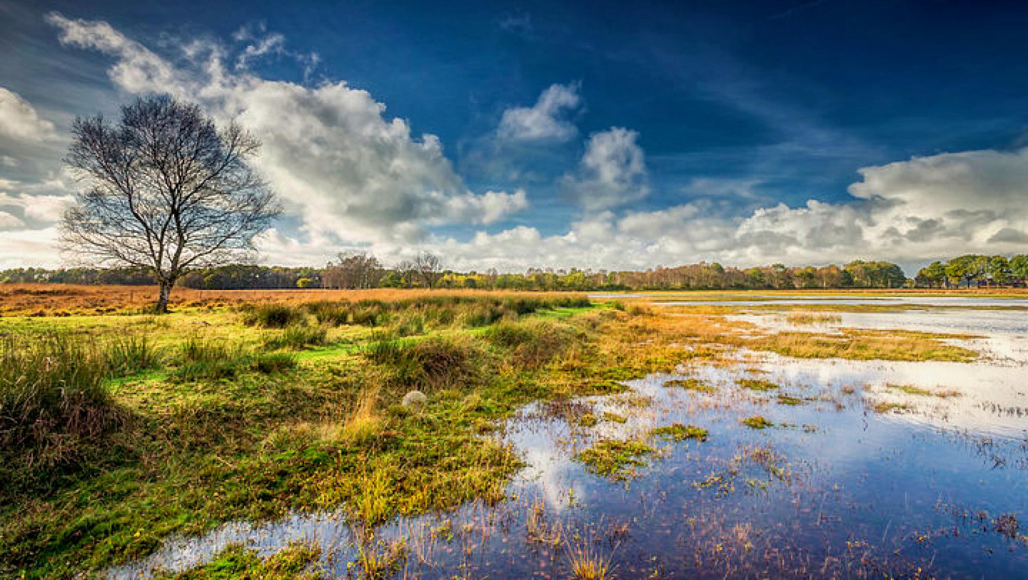 Localgroningen image