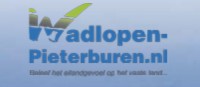 Wadlopen Pieterburen