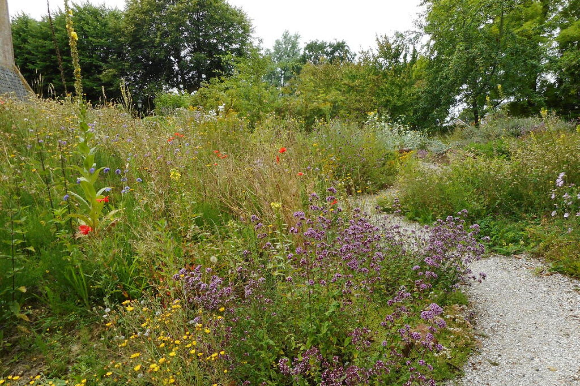 Botanische tuin en theeschenkerij Domies Toen