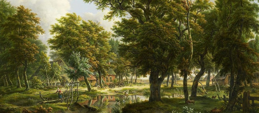 Dagarrangement UNESCO Geopark Hondsrug Drenthe