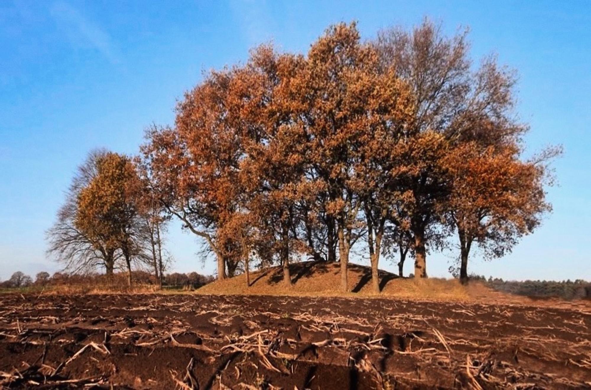 Localgroningen image