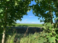 Camping Kiek op Diek