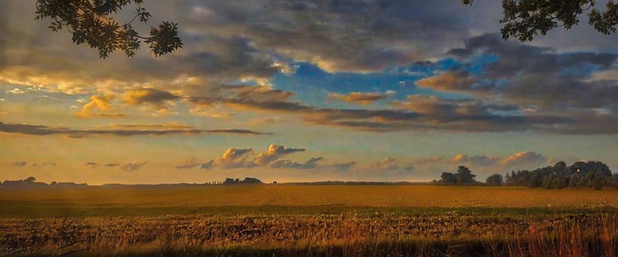 3-Daagse ****Culinaire reis door Groningen; HOGELAND EN WADDENKUST