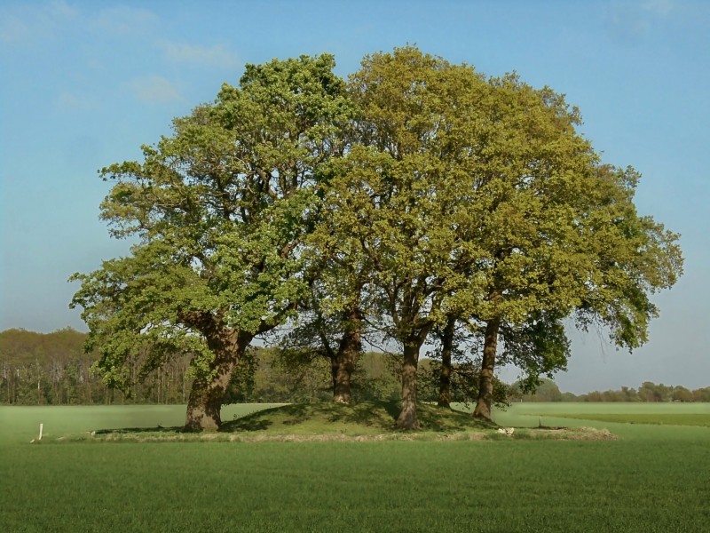 Weekendje weg Drenthe - UNESCO park Hondsrug en Hunzedal