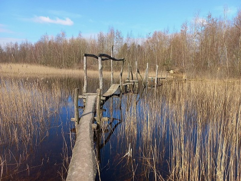 Dagarrangement in Midden-Groningen