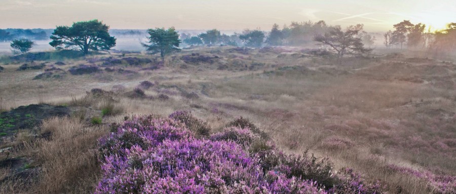 Dagarrangement UNESCO Geopark Hondsrug Drenthe