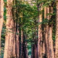 Dagarrangement  't Andere Friesland in ZO-Friesland