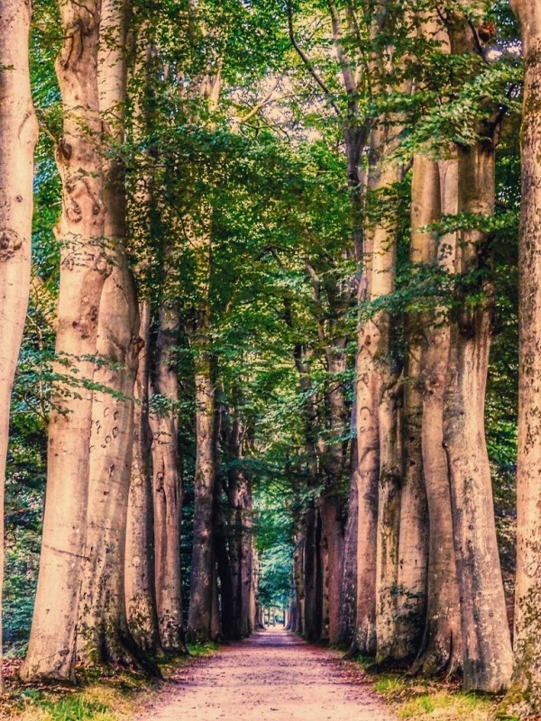 Ben je een liefhebber van het hoge noorden?