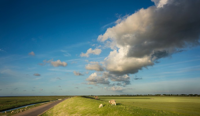 3-Daagse ****Culinaire reis door Groningen; HOGELAND EN WADDENKUST