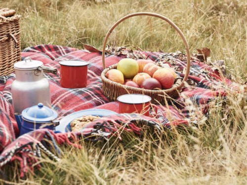 Verzorgde dagtrip in de 'Achtertuin van Groningen'