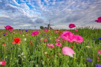 Dagarrangement in Midden-Groningen