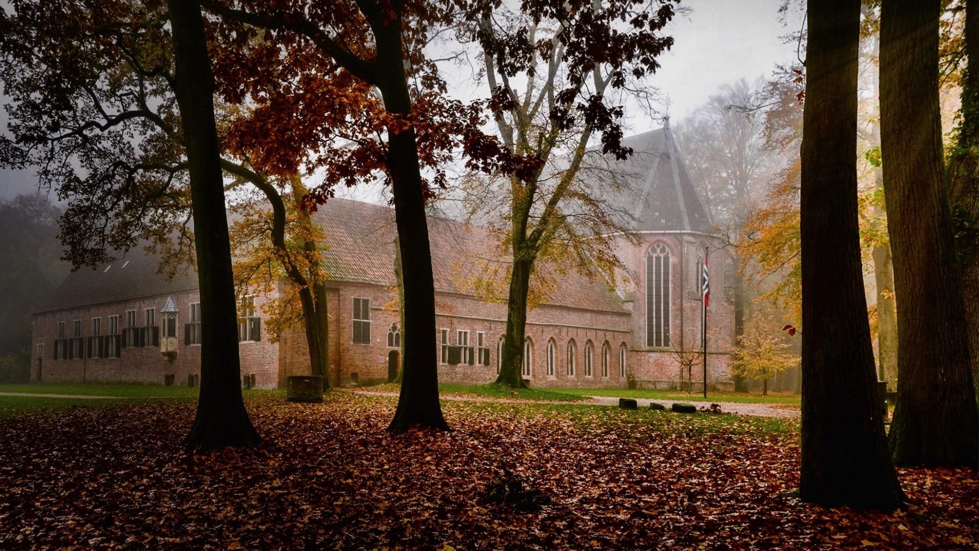 Localgroningen image