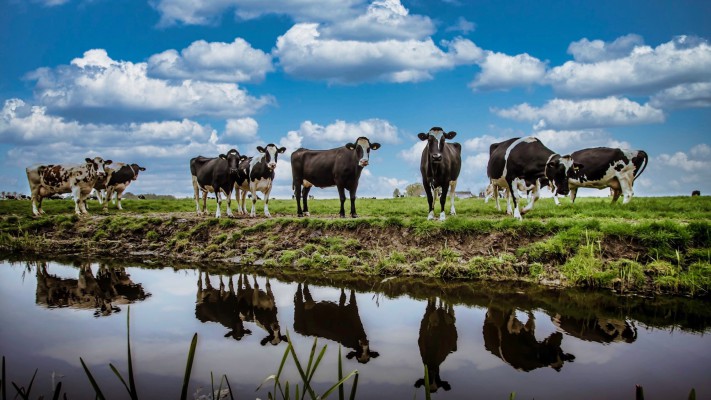 6-Daagse Fotoreis Noord-Nederland