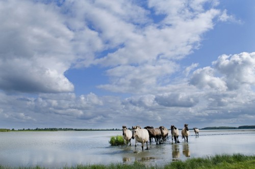 Autopuzzeltocht rondje Lauwersmeer 'Van Lauwers tot Wad'